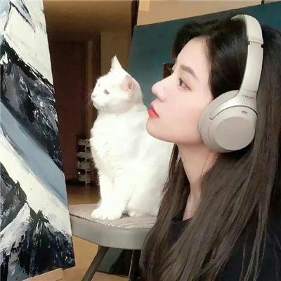 多元精选